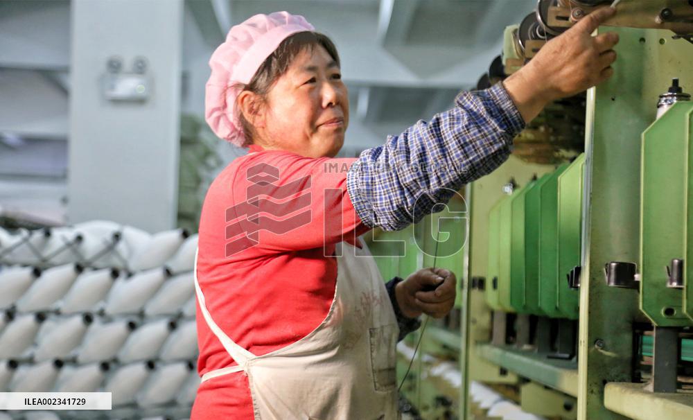 A Spinning and Plastic Company in Nantong
