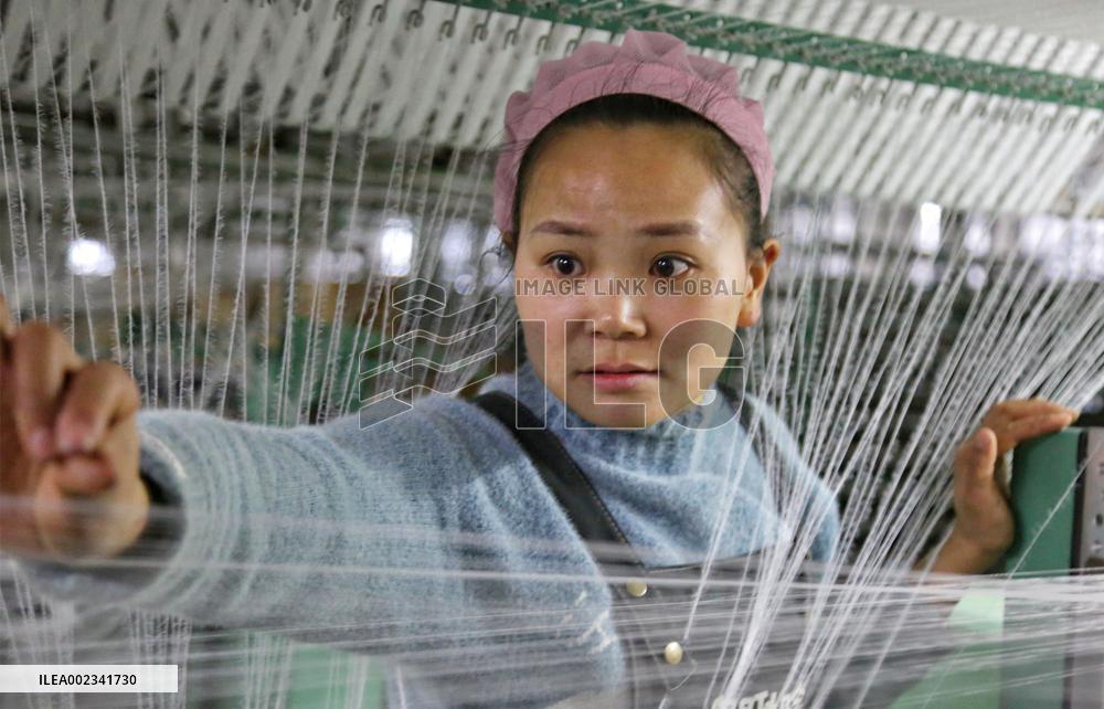 A Spinning and Plastic Company in Nantong