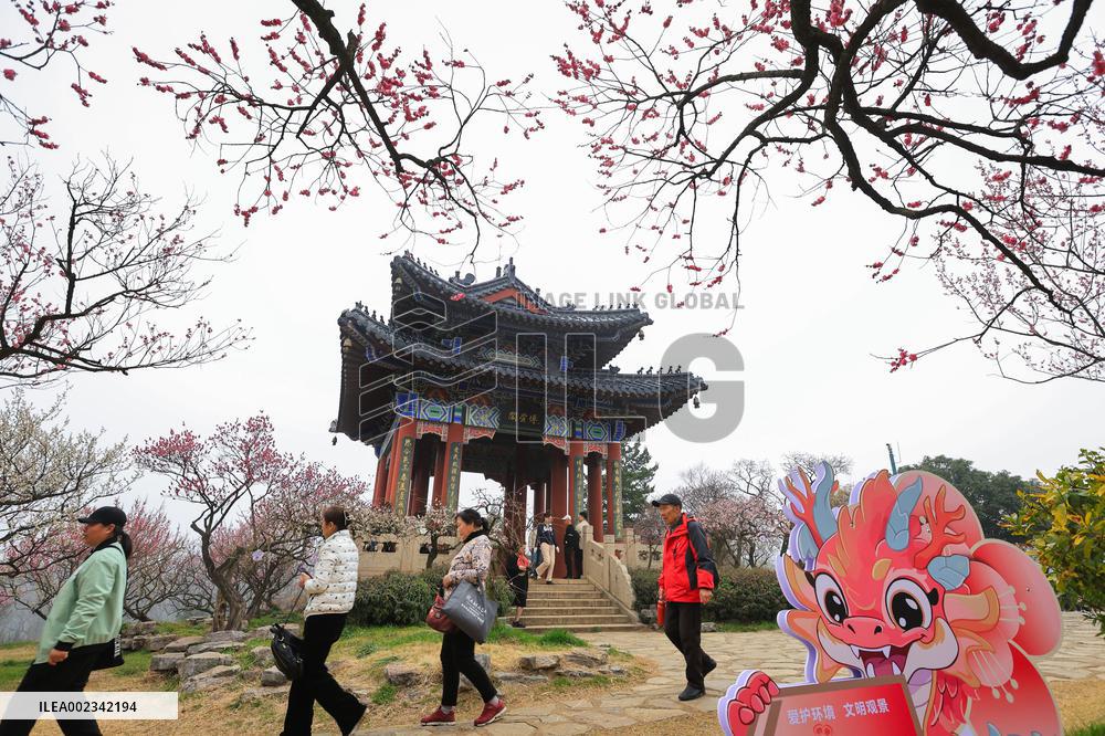 2024 Nanjing International Plum Blossom Festival