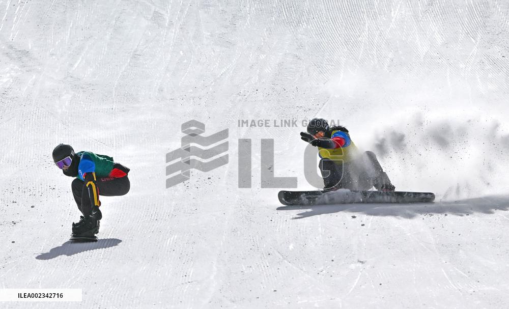 (SP)CHINA-INNER MONGOLIA-ULANQAB-14TH NATIONAL WINTER GAMES-SNOWBOARD-CROSS (CN)