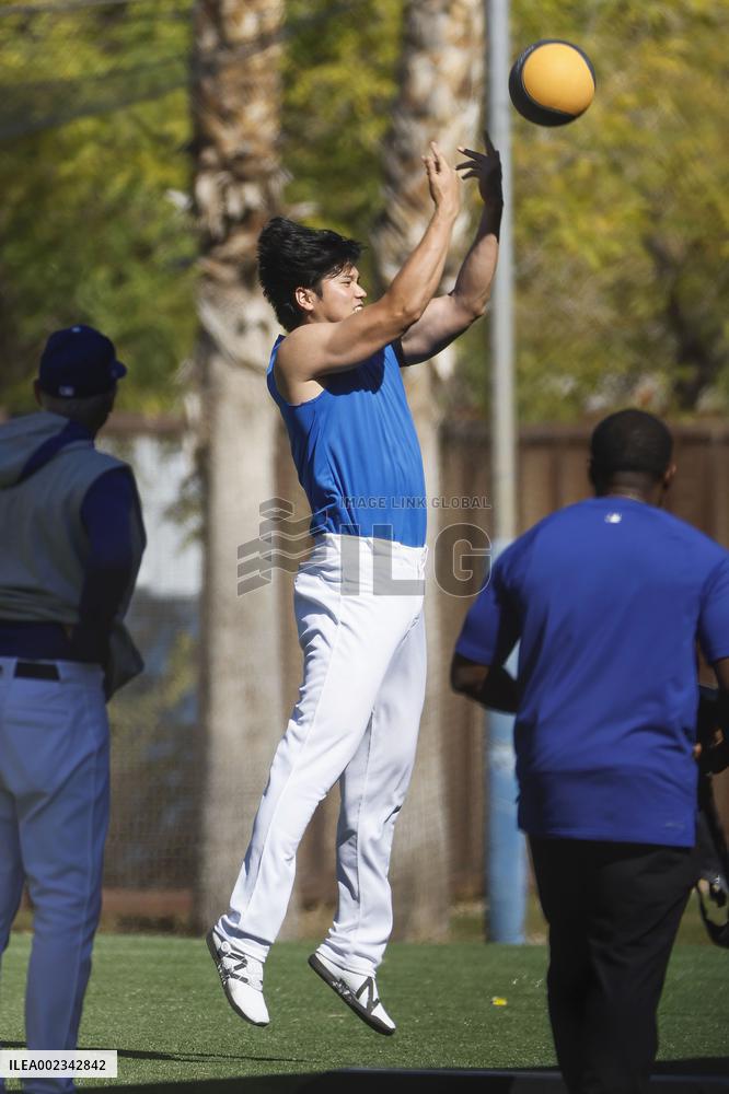 Baseball: MLB spring training
