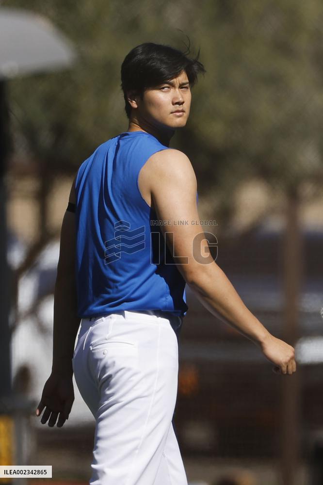Baseball: MLB spring training
