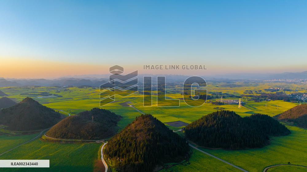 CHINA-YUNNAN-LUOPING COUNTY-COLE FLOWER FIELD (CN)