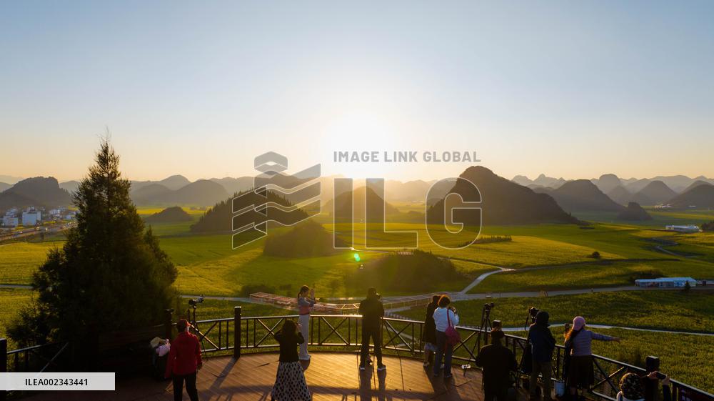 CHINA-YUNNAN-LUOPING COUNTY-COLE FLOWER FIELD (CN)