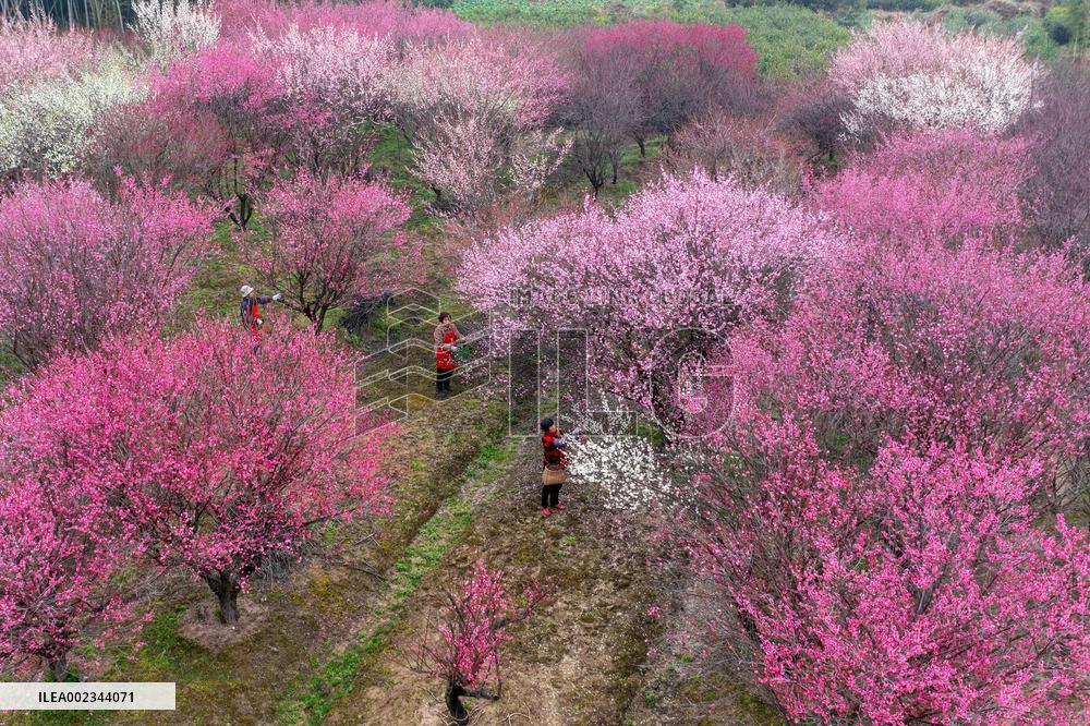 #CHINA-SOLAR TERM-RAIN WATER-AGRICULTURE (CN)