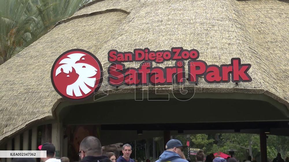 Year of Dragon celebration held in U.S. wildlife park