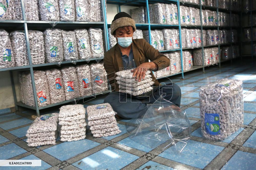AFGHANISTAN-KABUL-CANDY-MAKING