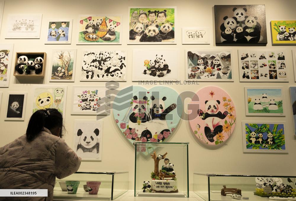 SOUTH KOREA-GIANT PANDA-FU BAO-RETURN PLAN