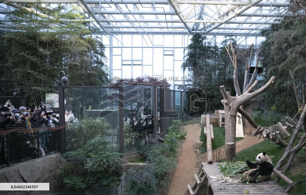 SOUTH KOREA-GIANT PANDA-FU BAO-RETURN PLAN