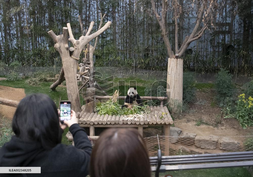 SOUTH KOREA-GIANT PANDA-FU BAO-RETURN PLAN