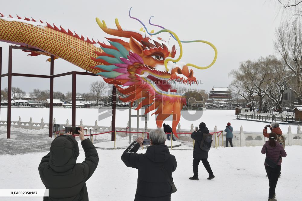 CHINA-BEIJING-SNOWFALL (CN)