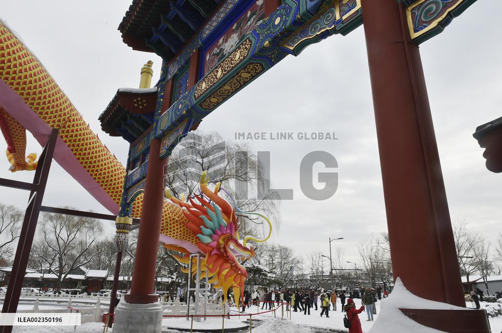 CHINA-BEIJING-SNOWFALL (CN)