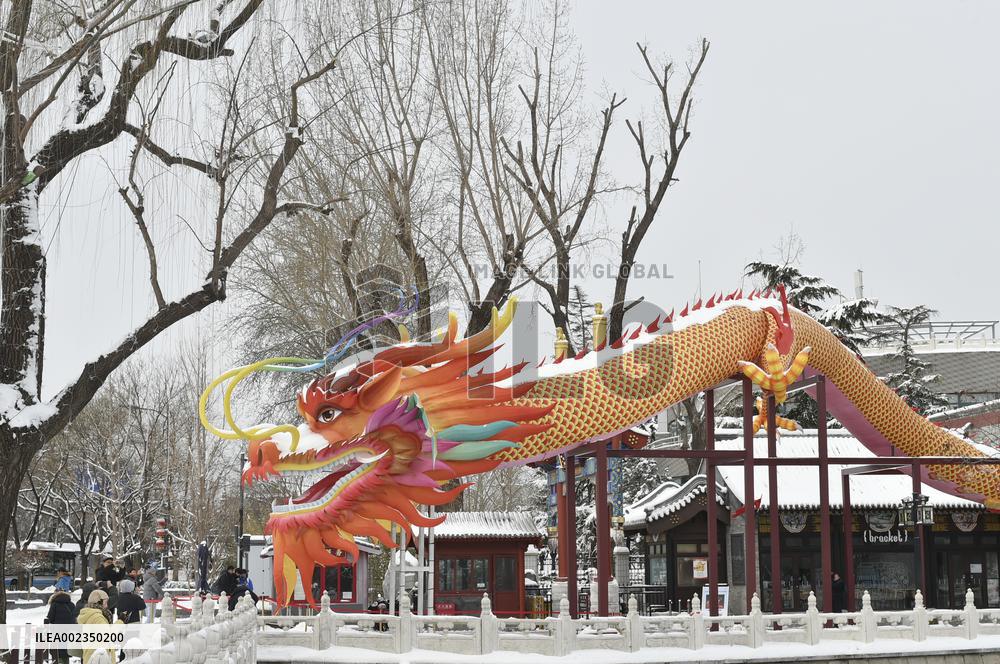 CHINA-BEIJING-SNOWFALL (CN)