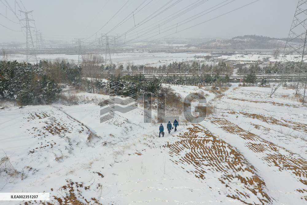 Power Grid Main Network Inspect