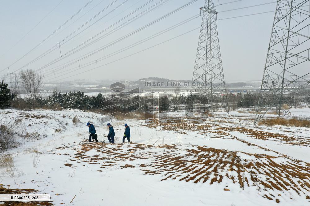 Power Grid Main Network Inspect