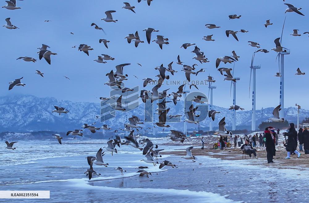 #CHINA-SNOWFALL (CN)