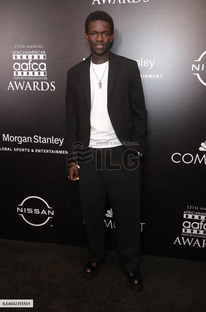 African American Film Critics Association Awards - LA