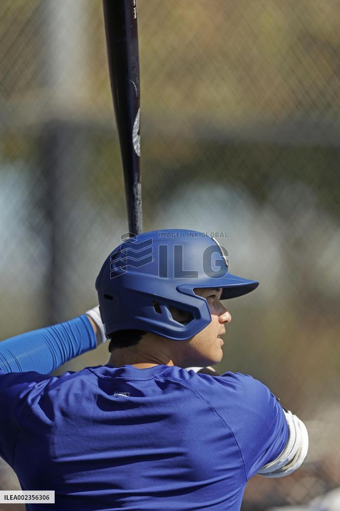 Baseball: MLB spring training