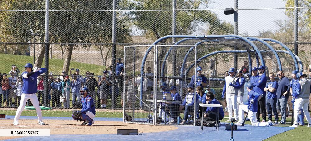 Baseball: MLB spring training