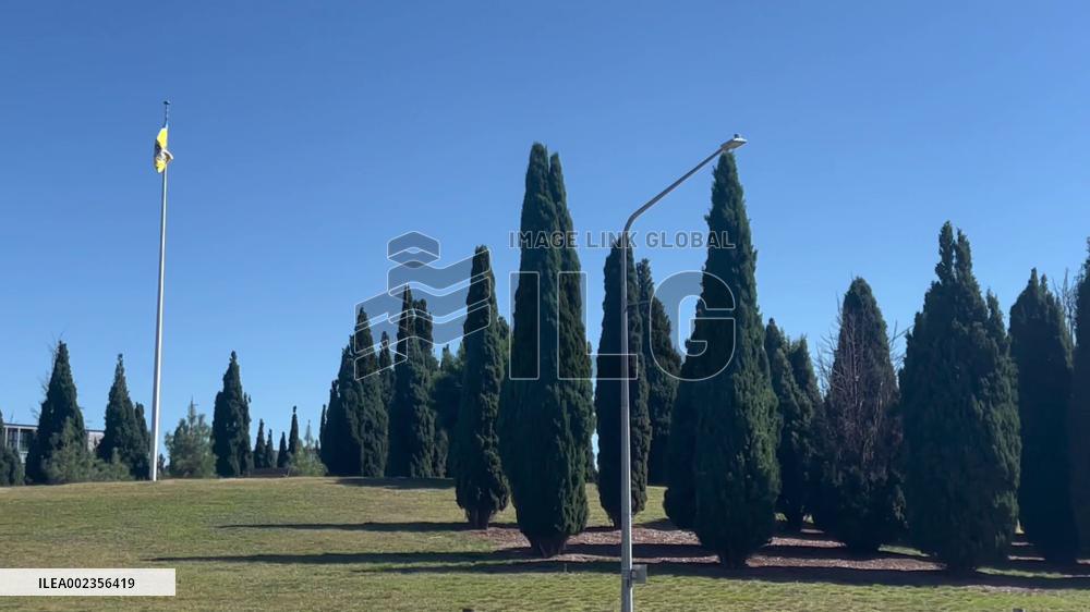 Australian citizen scientists urged to help track rabbit virus