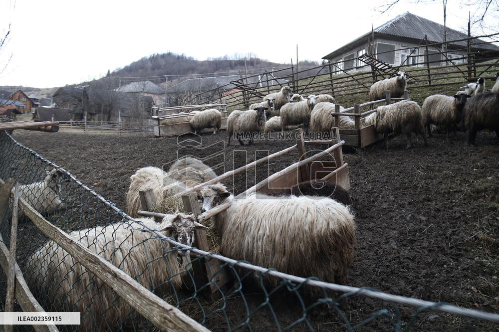 Pylypets village in Zakarpattia region