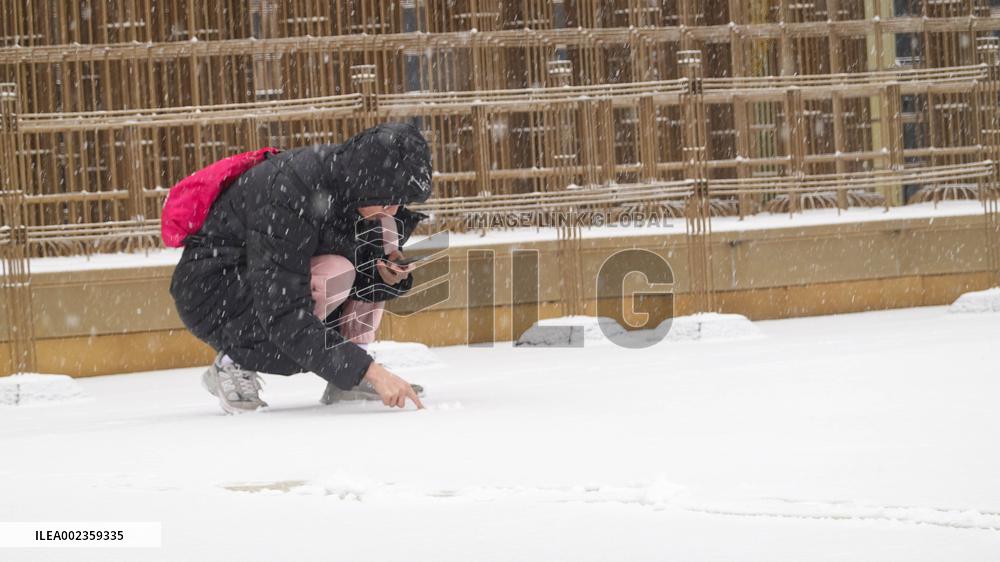 Xi'an Scenic Spots in the Blizzard