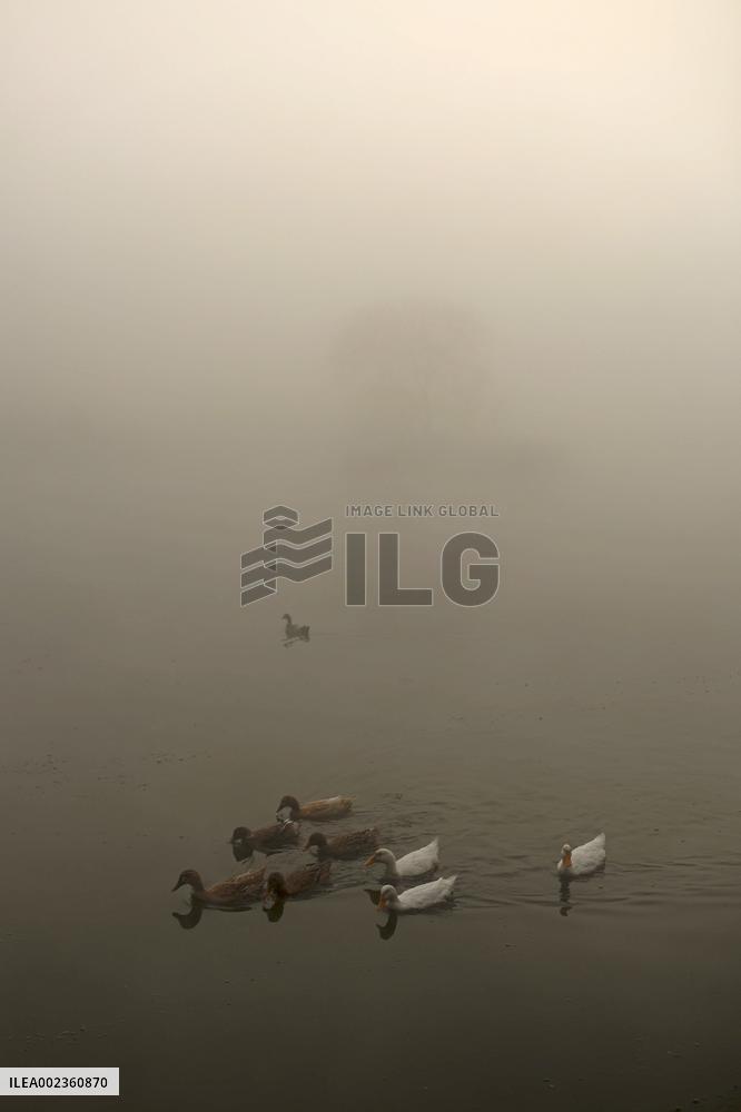 NEPAL-KATHMANDU-FOG