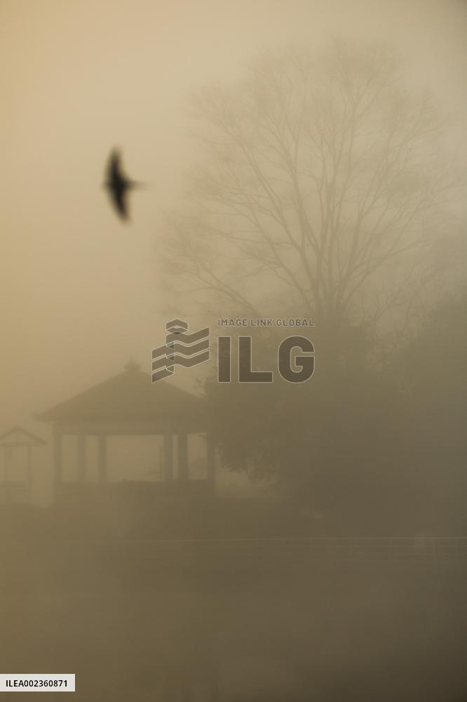 NEPAL-KATHMANDU-FOG