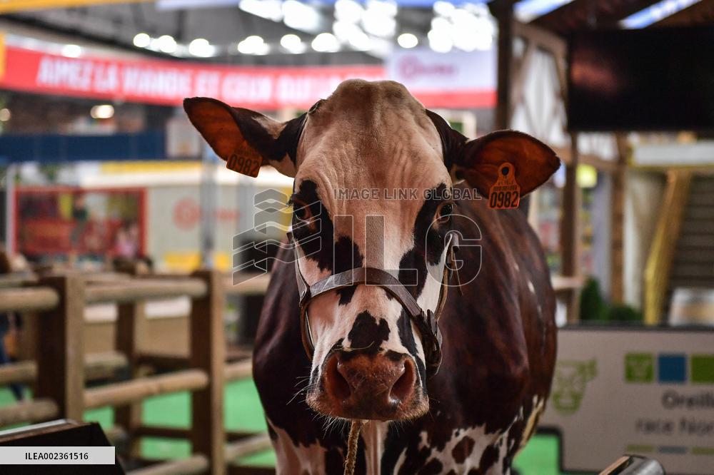 Installation Of International Agricultural Fair - Paris