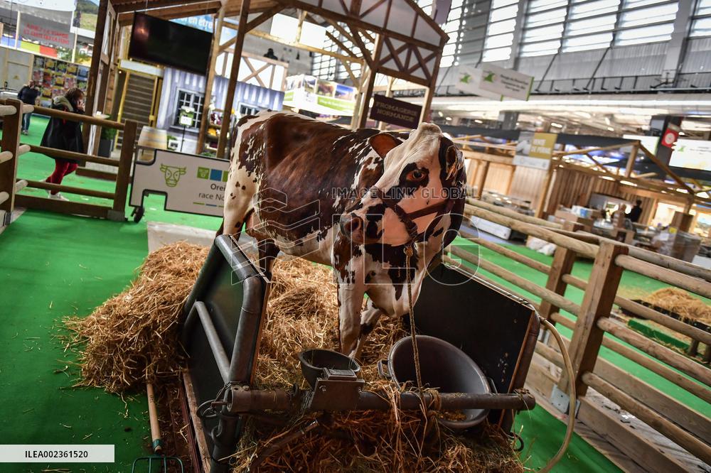 Installation Of International Agricultural Fair - Paris