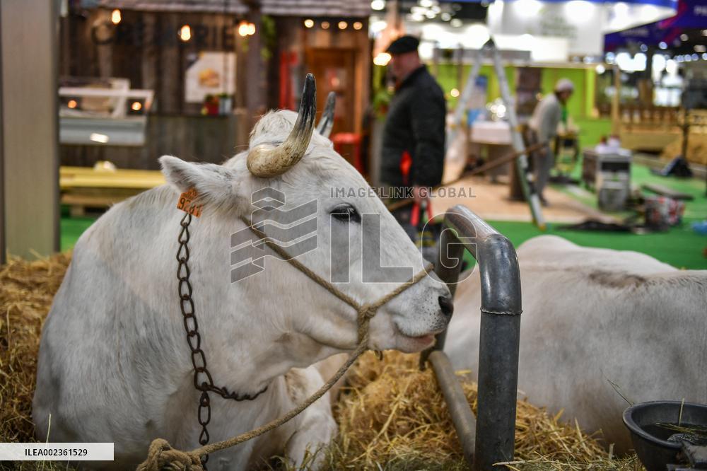 Installation Of International Agricultural Fair - Paris