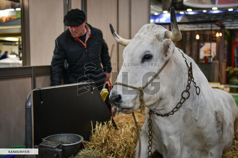 Installation Of International Agricultural Fair - Paris