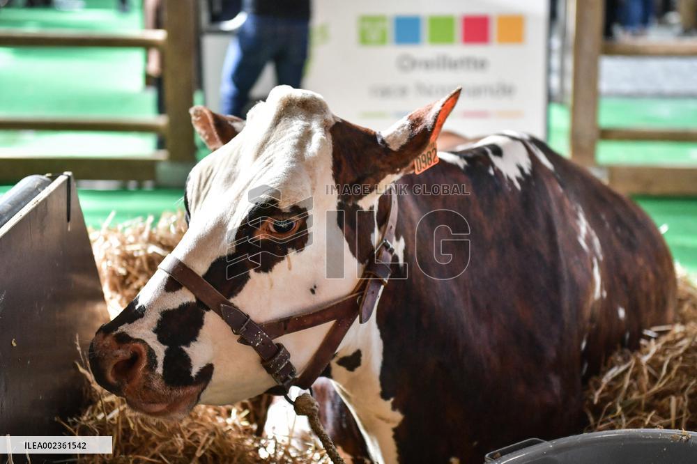 Installation Of International Agricultural Fair - Paris