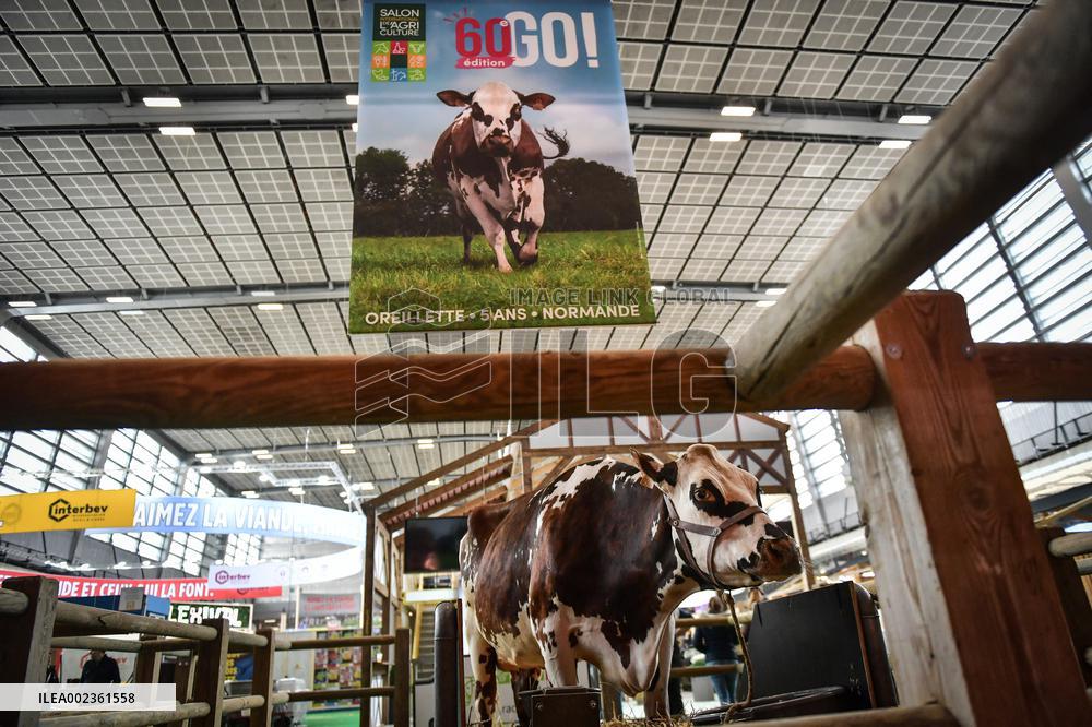 Installation Of International Agricultural Fair - Paris