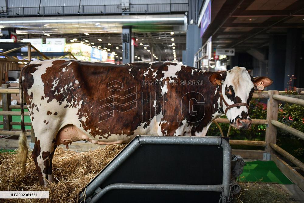 Installation Of International Agricultural Fair - Paris