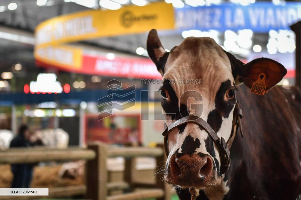 Installation Of International Agricultural Fair - Paris