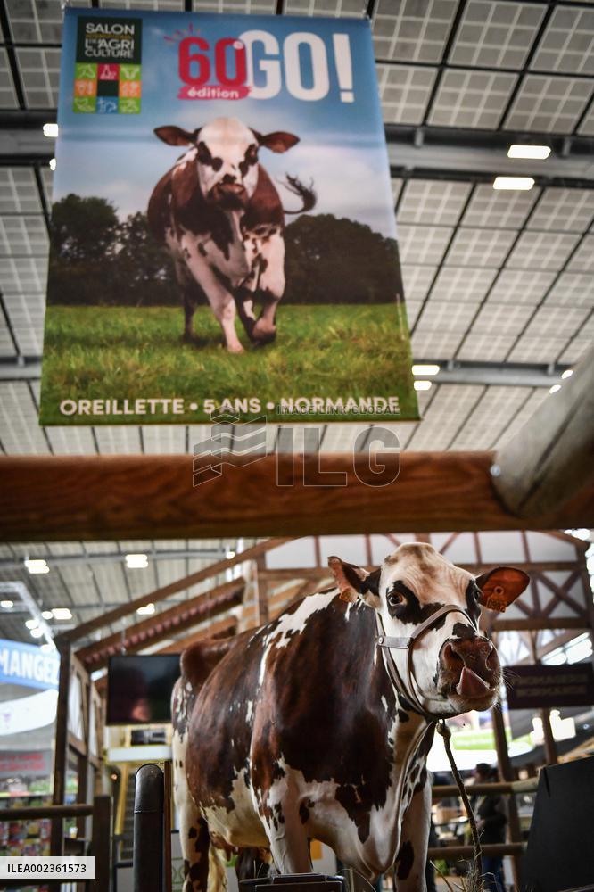 Installation Of International Agricultural Fair - Paris