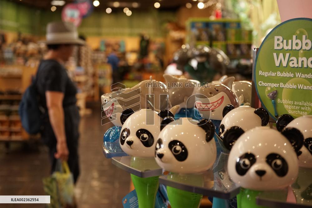 U.S.-SAN DIEGO-SAN DIEGO ZOO-CHINA-GIANT PANDA-CONSERVATION PLANS