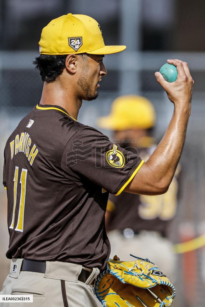 Baseball: MLB spring training
