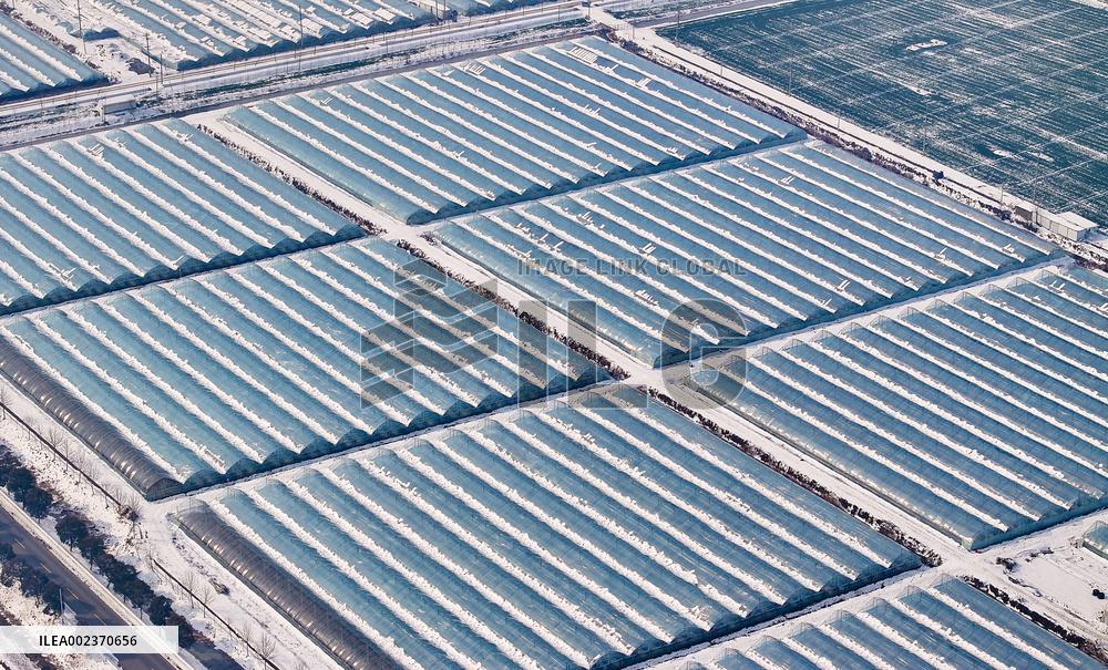 A Green Vegetable Planting Base in Suqian