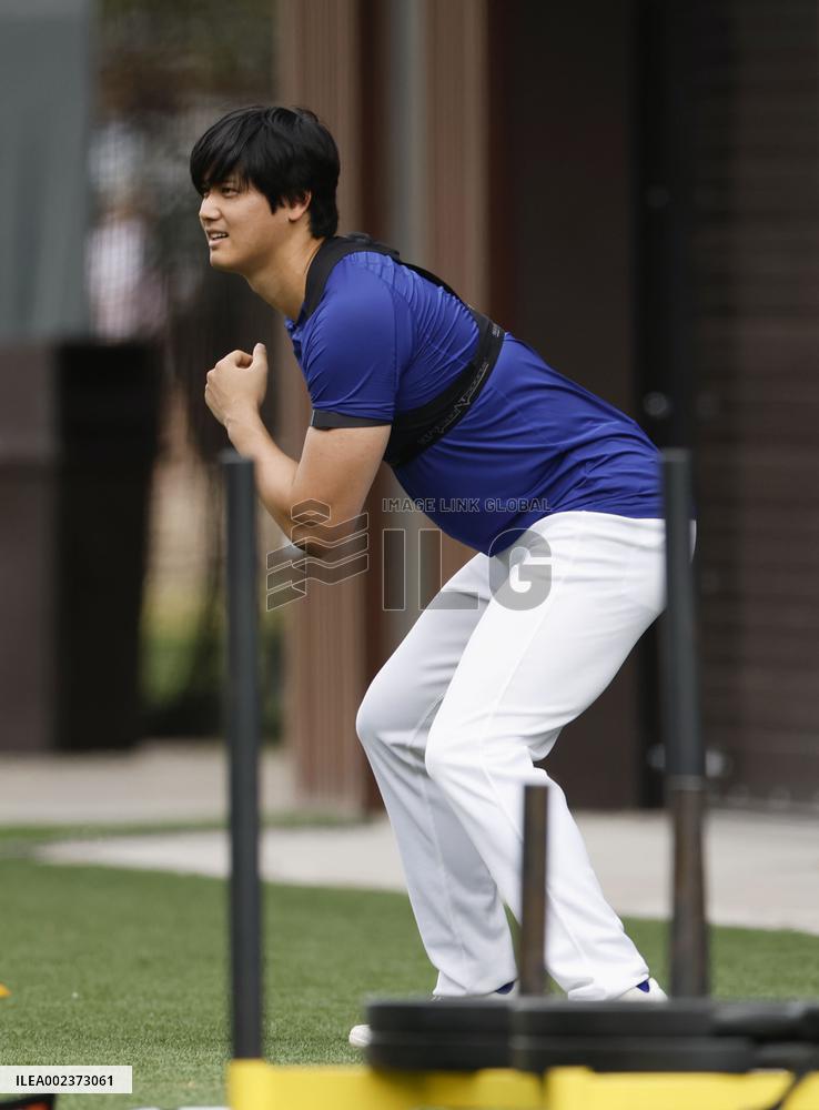 Baseball: MLB spring training