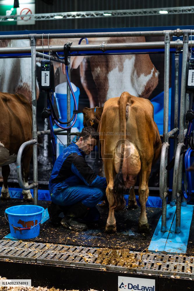 Agricultural Fair - Paris