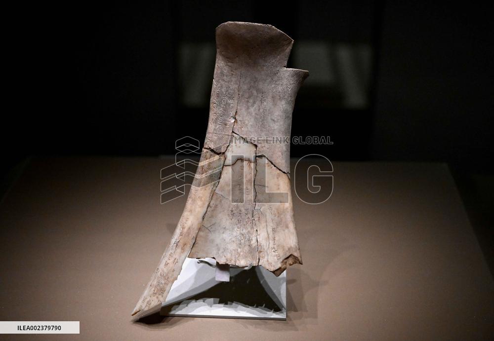 (HenanPixels)CHINA-HENAN-YINXU MUSEUM-NEW BUILDING-OPEN (CN)