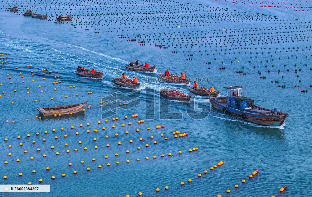 XINHUA PHOTOS OF THE DAY