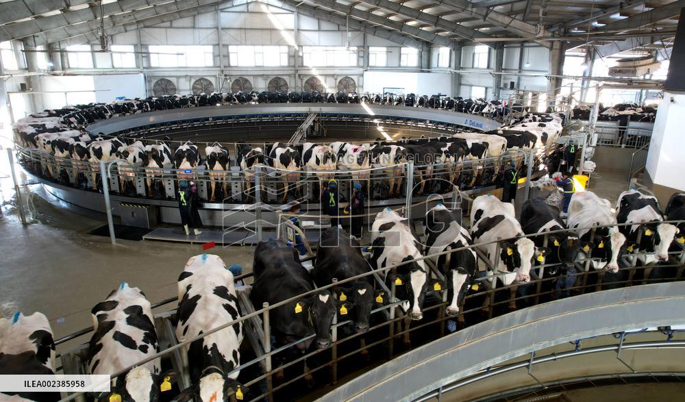 An Enterprise Ranch in Linyi