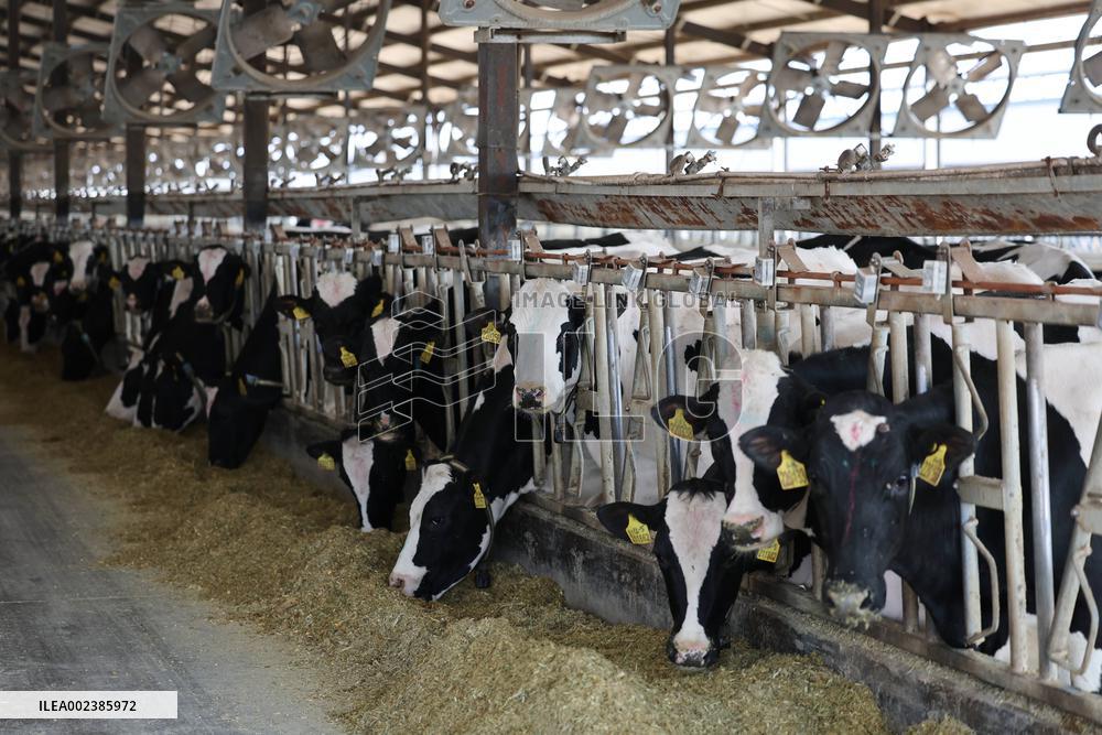 An Enterprise Ranch in Linyi