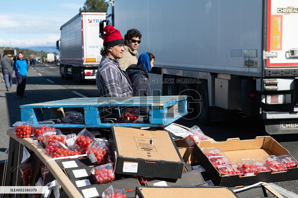 Catalan Farmers Block The AP-7 In Girona