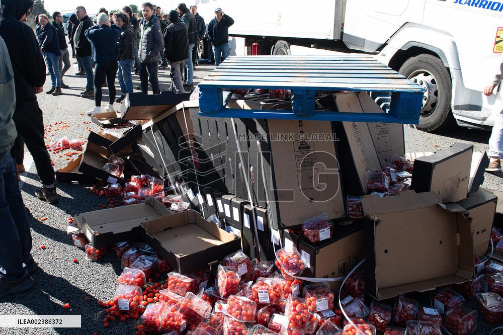 Catalan Farmers Block The AP-7 In Girona