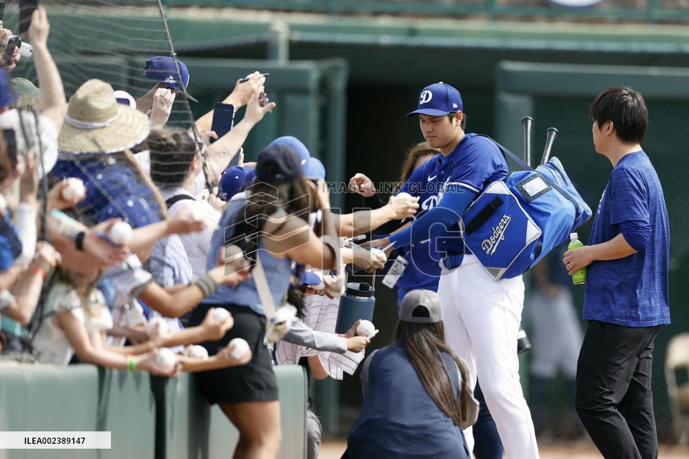 Baseball: MLB spring training