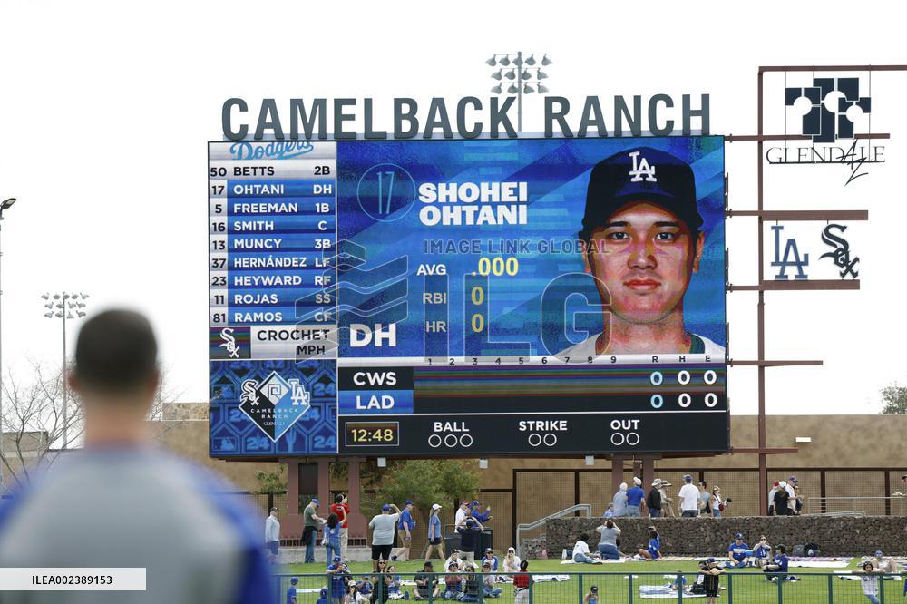 Baseball: MLB spring training